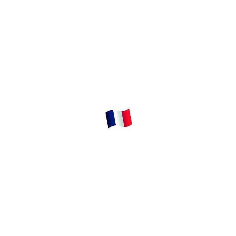 16 confettis de table drapeau France