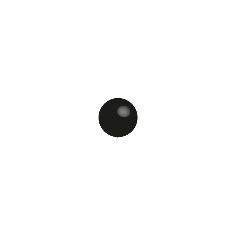 Ballon noir 80cm