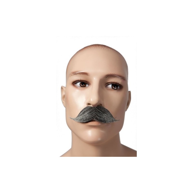 moustache fantaisie pour déguisement