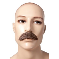 Moustache dupont marron